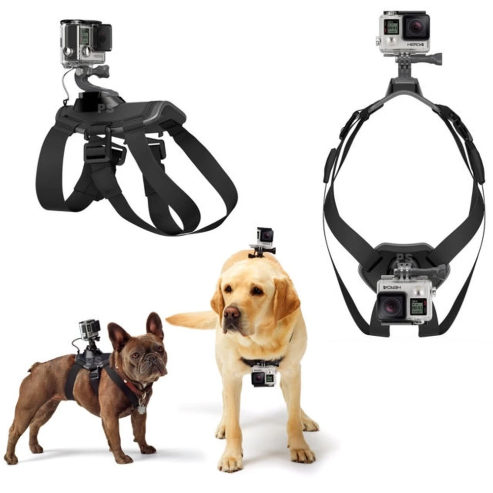 Arnés para perro con cámara GoPro montada en la espalda