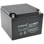 Förseglat blybatteri 12V 24Ah SY24-12 uppladdningsbart