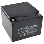 Bateria plomo sellada SY24-12 12V 24Ah recargable con terminales T10