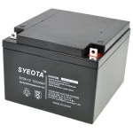 Bateria plomo sellada SY24-12 12V 24Ah recargable para uso en alarmas