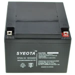 Bateria plomo sellada SY24-12 12V 24Ah recargable para UPS