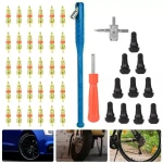 Däckreparationsverktyg och ventilutdragare TSX TOOL 43 delar