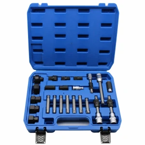 Kit Extraktor Remskivor Generator 24 Delar Professionell Frjulslöpande OAD Universal